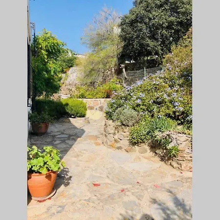 5 Star Private & Private Swimming Pool